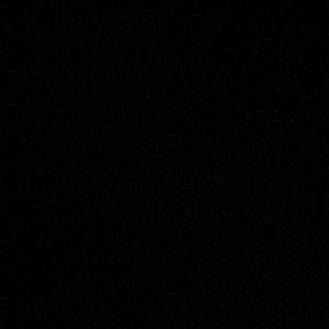 Meet your Posher, Rylee